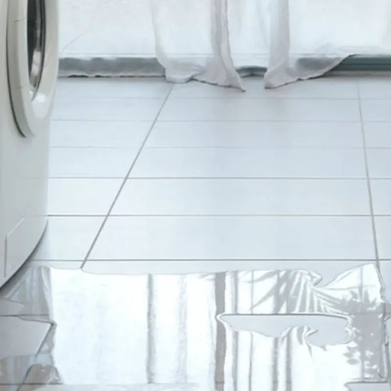 Appliance Leak Cleanup in Gambier, OH