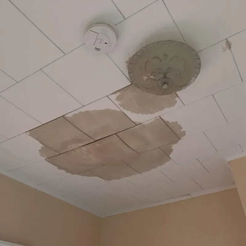 Ceiling Water Damage Repair in Gambier, OH