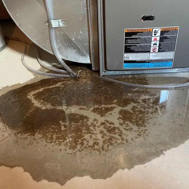Pipe Burst and Leak Restoration in Gambier, OH