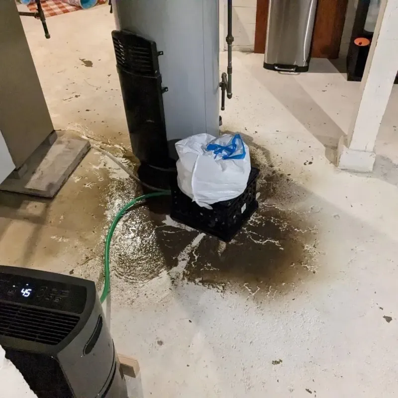 Sewage Backup Cleanup Service in Gambier, OH